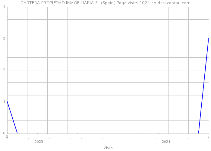 CARTERA PROPIEDAD INMOBILIARIA SL (Spain) Page visits 2024 
