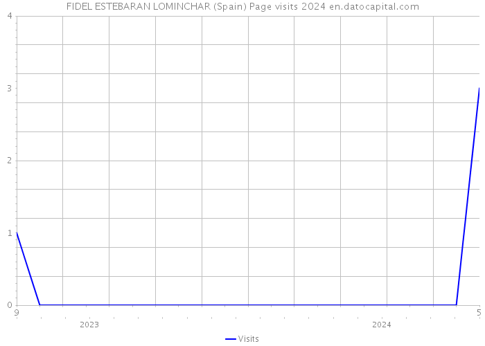 FIDEL ESTEBARAN LOMINCHAR (Spain) Page visits 2024 