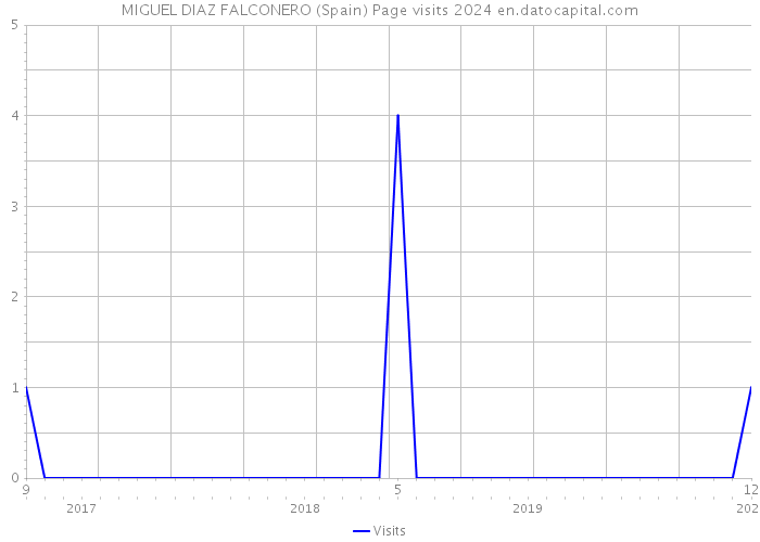 MIGUEL DIAZ FALCONERO (Spain) Page visits 2024 
