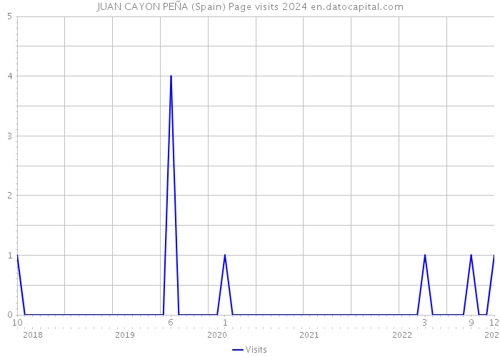 JUAN CAYON PEÑA (Spain) Page visits 2024 
