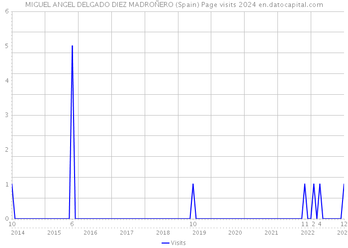 MIGUEL ANGEL DELGADO DIEZ MADROÑERO (Spain) Page visits 2024 