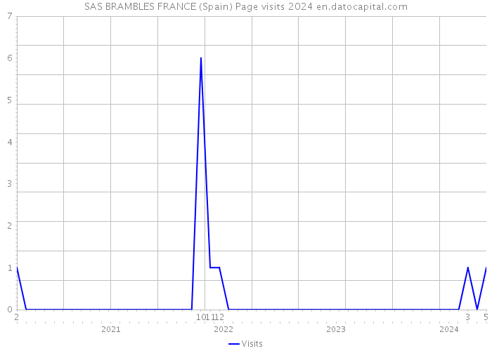 SAS BRAMBLES FRANCE (Spain) Page visits 2024 