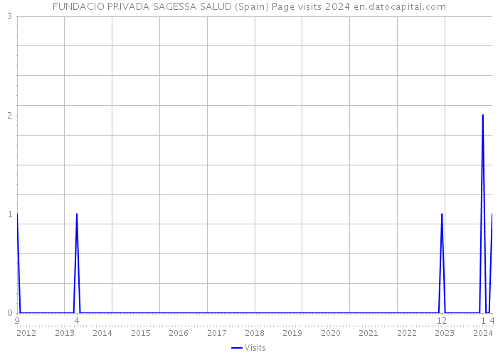FUNDACIO PRIVADA SAGESSA SALUD (Spain) Page visits 2024 