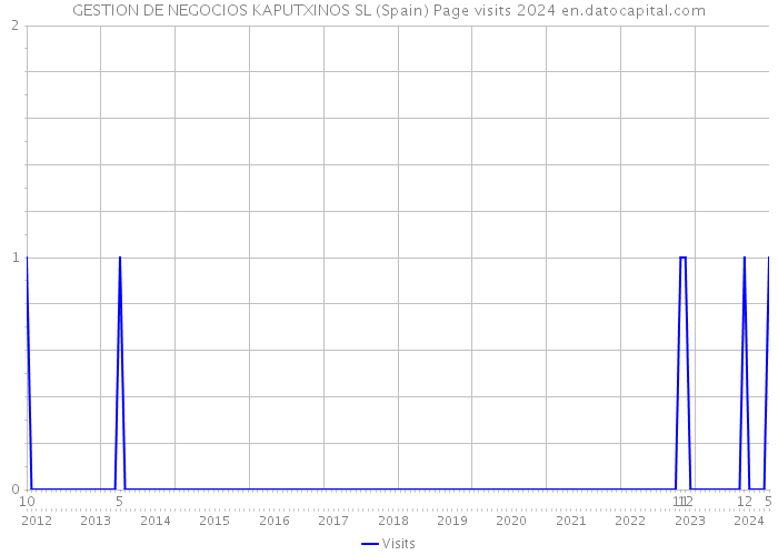 GESTION DE NEGOCIOS KAPUTXINOS SL (Spain) Page visits 2024 