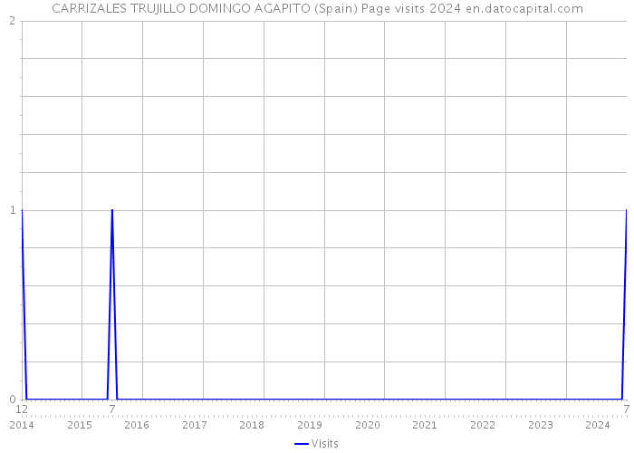 CARRIZALES TRUJILLO DOMINGO AGAPITO (Spain) Page visits 2024 