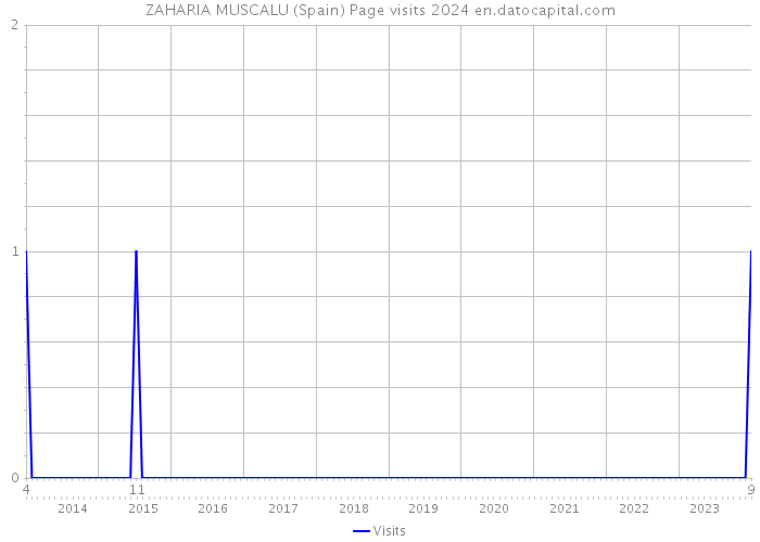 ZAHARIA MUSCALU (Spain) Page visits 2024 
