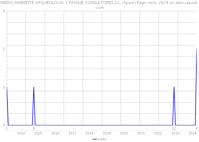 MEDIO AMBIENTE ARQUEOLOGIA Y PAISAJE CONSULTORES S.L. (Spain) Page visits 2024 