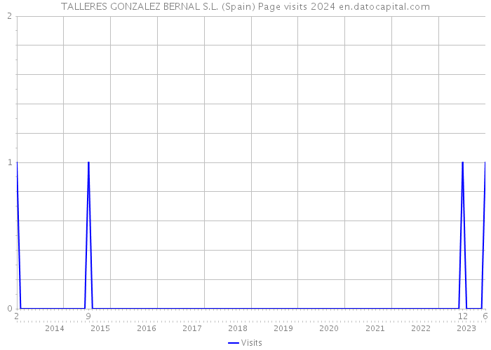 TALLERES GONZALEZ BERNAL S.L. (Spain) Page visits 2024 