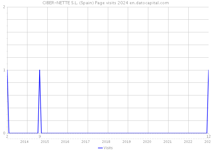 CIBER-NETTE S.L. (Spain) Page visits 2024 