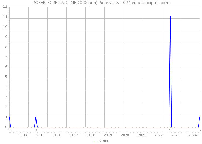 ROBERTO REINA OLMEDO (Spain) Page visits 2024 