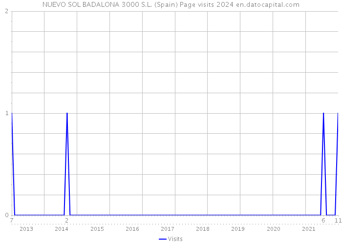 NUEVO SOL BADALONA 3000 S.L. (Spain) Page visits 2024 