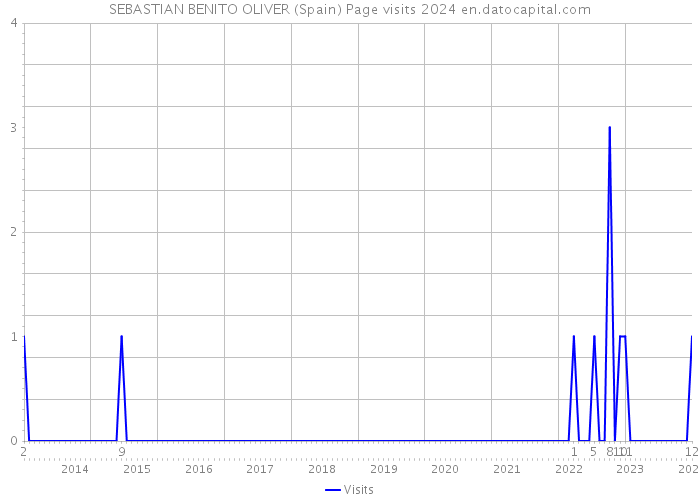SEBASTIAN BENITO OLIVER (Spain) Page visits 2024 