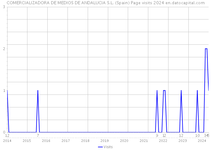 COMERCIALIZADORA DE MEDIOS DE ANDALUCIA S.L. (Spain) Page visits 2024 
