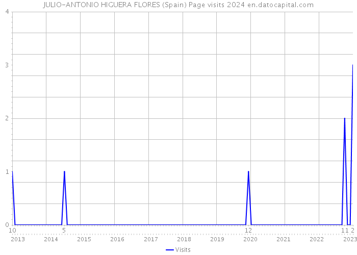 JULIO-ANTONIO HIGUERA FLORES (Spain) Page visits 2024 
