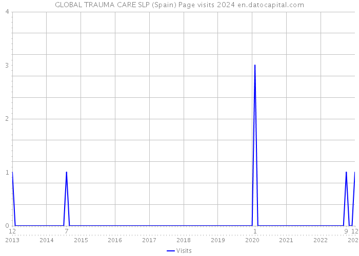 GLOBAL TRAUMA CARE SLP (Spain) Page visits 2024 