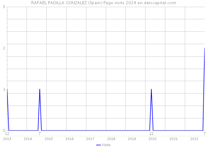 RAFAEL PADILLA GONZALEZ (Spain) Page visits 2024 