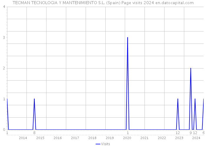 TECMAN TECNOLOGIA Y MANTENIMIENTO S.L. (Spain) Page visits 2024 