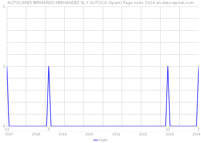 AUTOCARES BERNARDO HERNANDEZ SL Y AUTOCA (Spain) Page visits 2024 