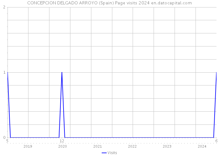 CONCEPCION DELGADO ARROYO (Spain) Page visits 2024 