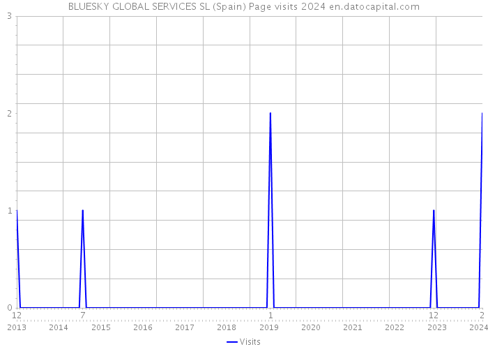 BLUESKY GLOBAL SERVICES SL (Spain) Page visits 2024 