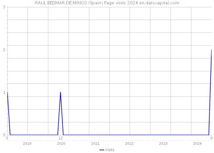 RAUL BEDMAR DE MINGO (Spain) Page visits 2024 