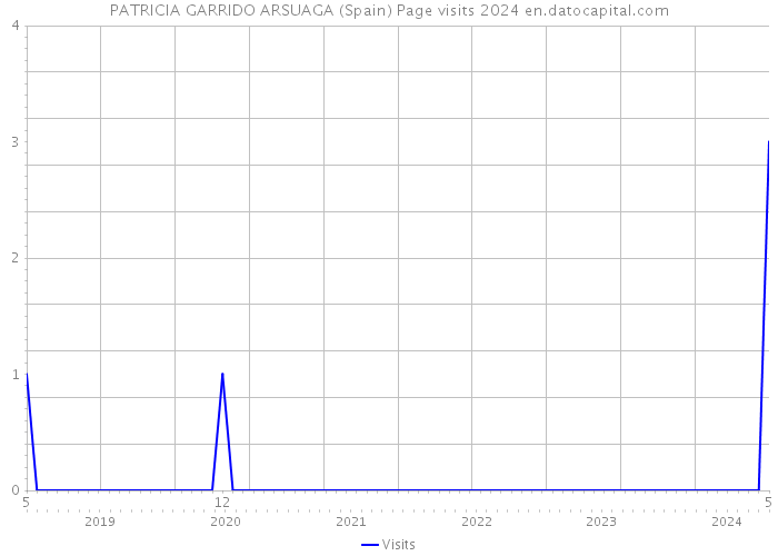 PATRICIA GARRIDO ARSUAGA (Spain) Page visits 2024 