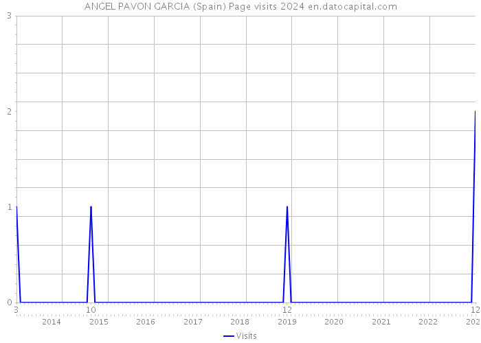 ANGEL PAVON GARCIA (Spain) Page visits 2024 