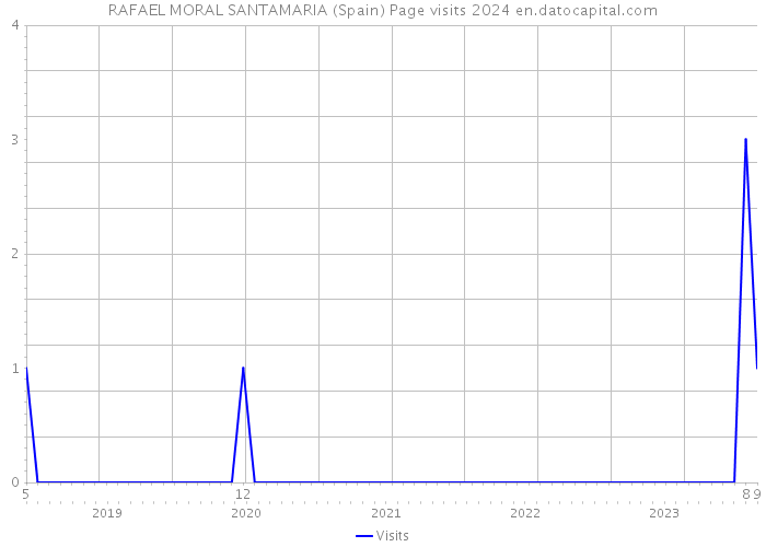 RAFAEL MORAL SANTAMARIA (Spain) Page visits 2024 