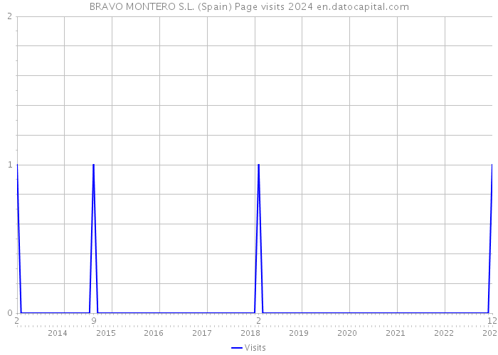 BRAVO MONTERO S.L. (Spain) Page visits 2024 
