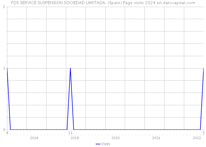 FDS SERVICE SUSPENSION SOCIEDAD LIMITADA. (Spain) Page visits 2024 