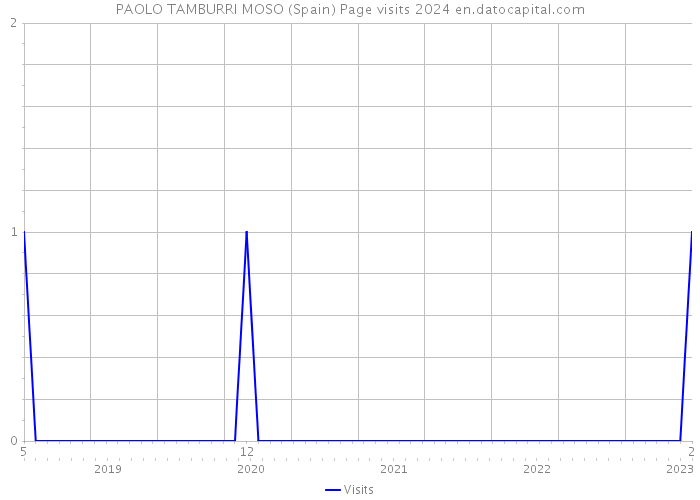 PAOLO TAMBURRI MOSO (Spain) Page visits 2024 