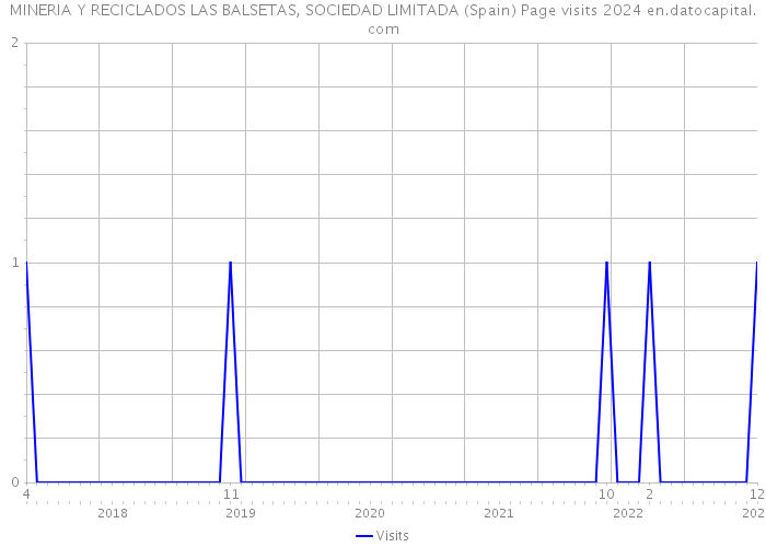 MINERIA Y RECICLADOS LAS BALSETAS, SOCIEDAD LIMITADA (Spain) Page visits 2024 