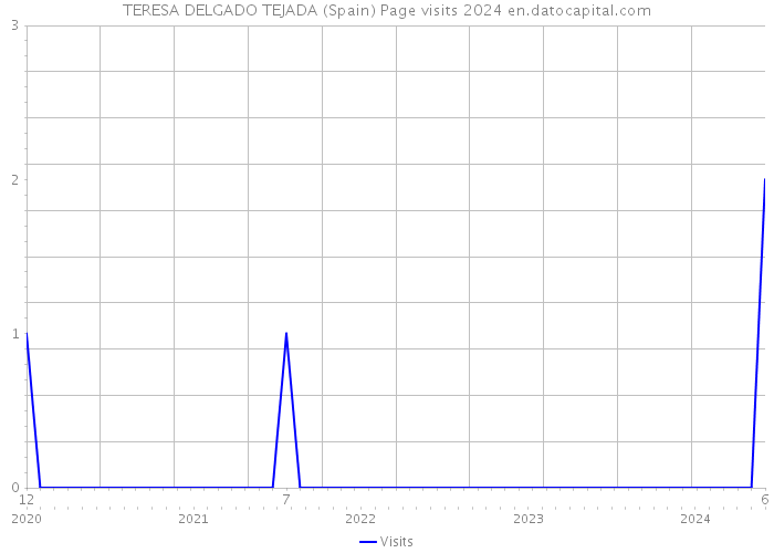 TERESA DELGADO TEJADA (Spain) Page visits 2024 