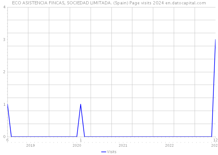 ECO ASISTENCIA FINCAS, SOCIEDAD LIMITADA. (Spain) Page visits 2024 
