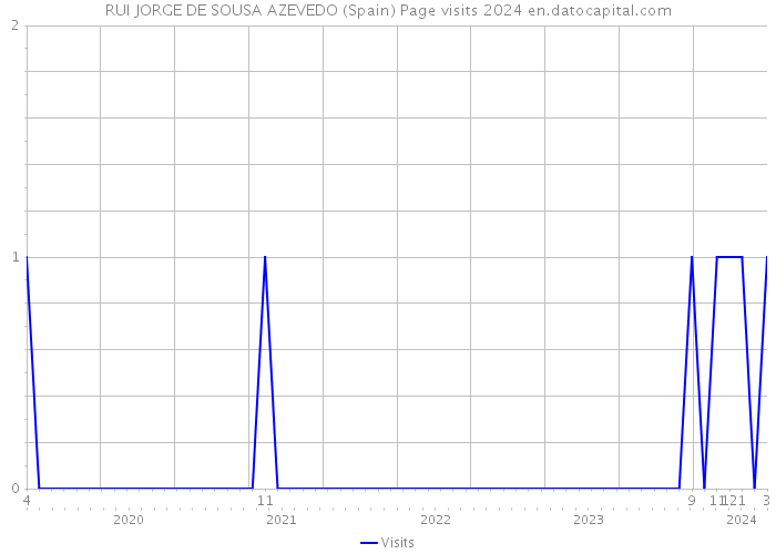 RUI JORGE DE SOUSA AZEVEDO (Spain) Page visits 2024 