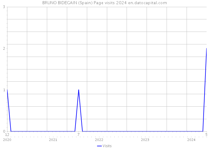 BRUNO BIDEGAIN (Spain) Page visits 2024 