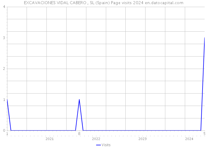 EXCAVACIONES VIDAL CABERO , SL (Spain) Page visits 2024 