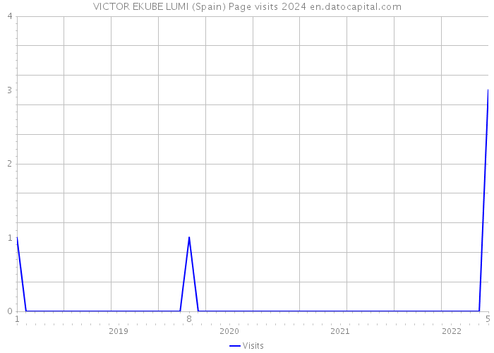 VICTOR EKUBE LUMI (Spain) Page visits 2024 