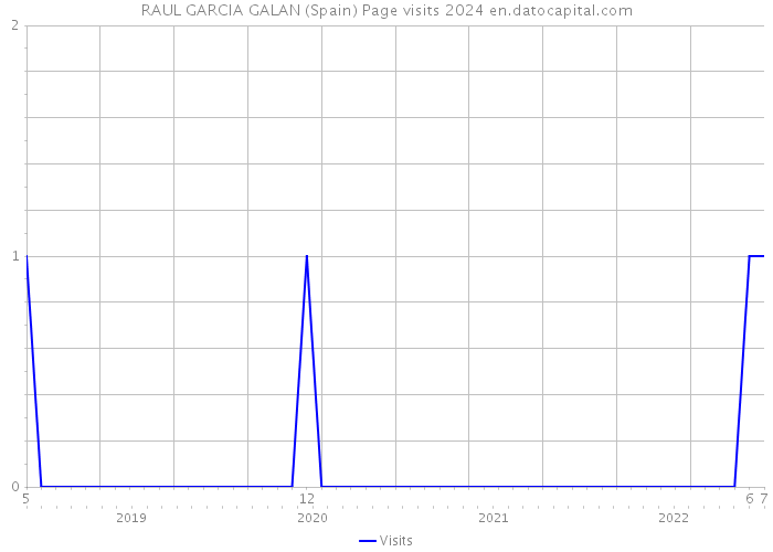 RAUL GARCIA GALAN (Spain) Page visits 2024 