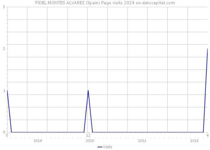 FIDEL MONTES ALVAREZ (Spain) Page visits 2024 
