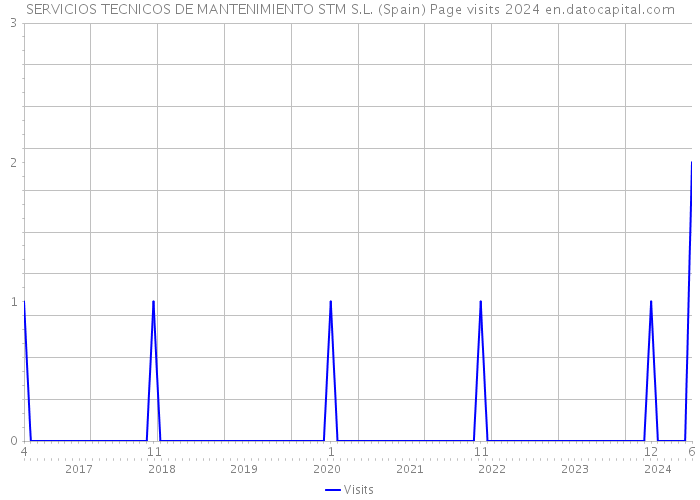 SERVICIOS TECNICOS DE MANTENIMIENTO STM S.L. (Spain) Page visits 2024 