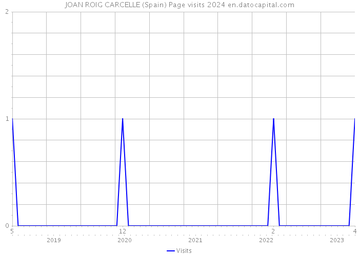 JOAN ROIG CARCELLE (Spain) Page visits 2024 