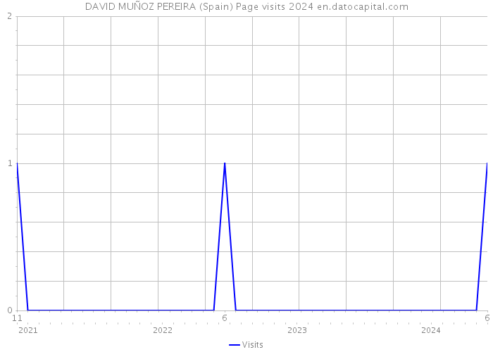 DAVID MUÑOZ PEREIRA (Spain) Page visits 2024 