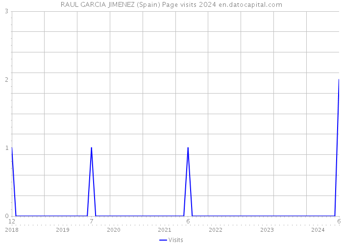 RAUL GARCIA JIMENEZ (Spain) Page visits 2024 