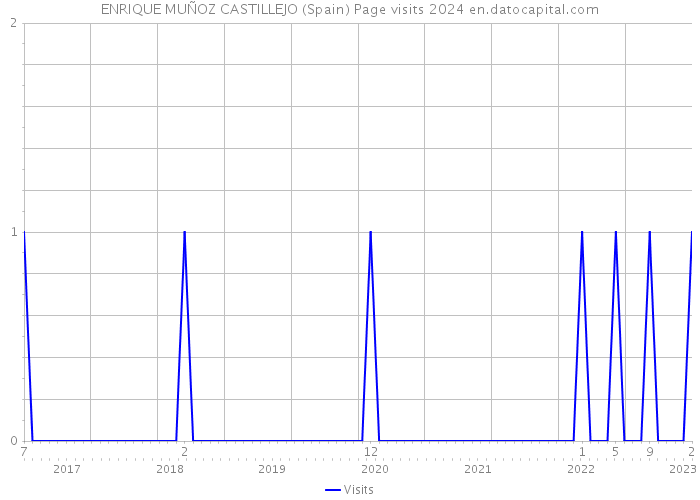 ENRIQUE MUÑOZ CASTILLEJO (Spain) Page visits 2024 