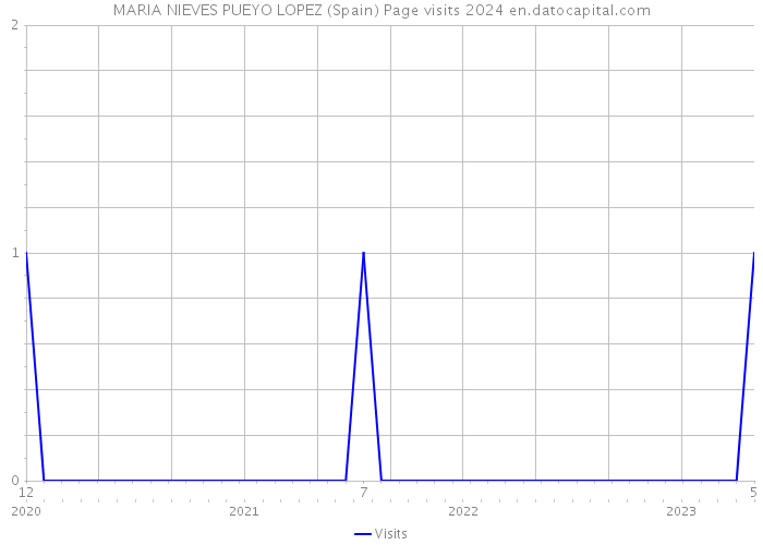 MARIA NIEVES PUEYO LOPEZ (Spain) Page visits 2024 