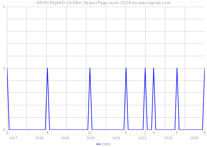 KEVIN PAJARO GAVIRA (Spain) Page visits 2024 