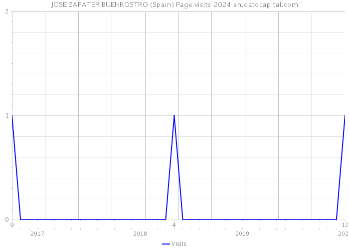 JOSE ZAPATER BUENROSTRO (Spain) Page visits 2024 