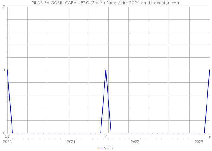 PILAR BAIGORRI CABALLERO (Spain) Page visits 2024 