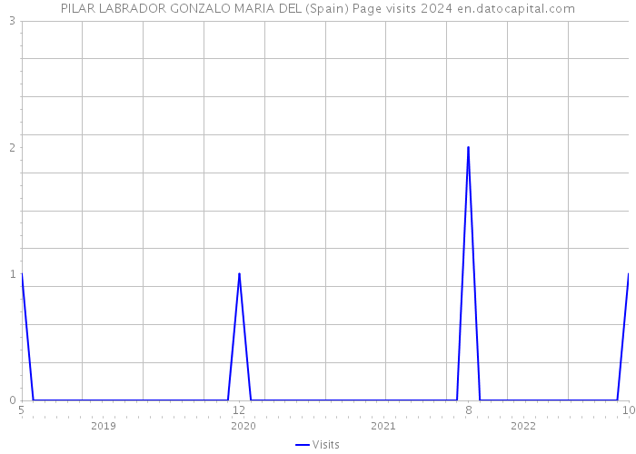 PILAR LABRADOR GONZALO MARIA DEL (Spain) Page visits 2024 